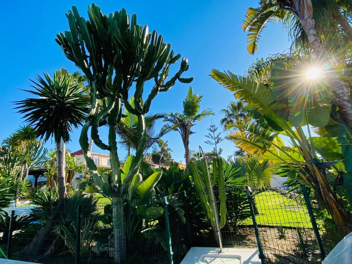 Studio-near The Beach, Bbq And Seawater Pool Appartement Marbella